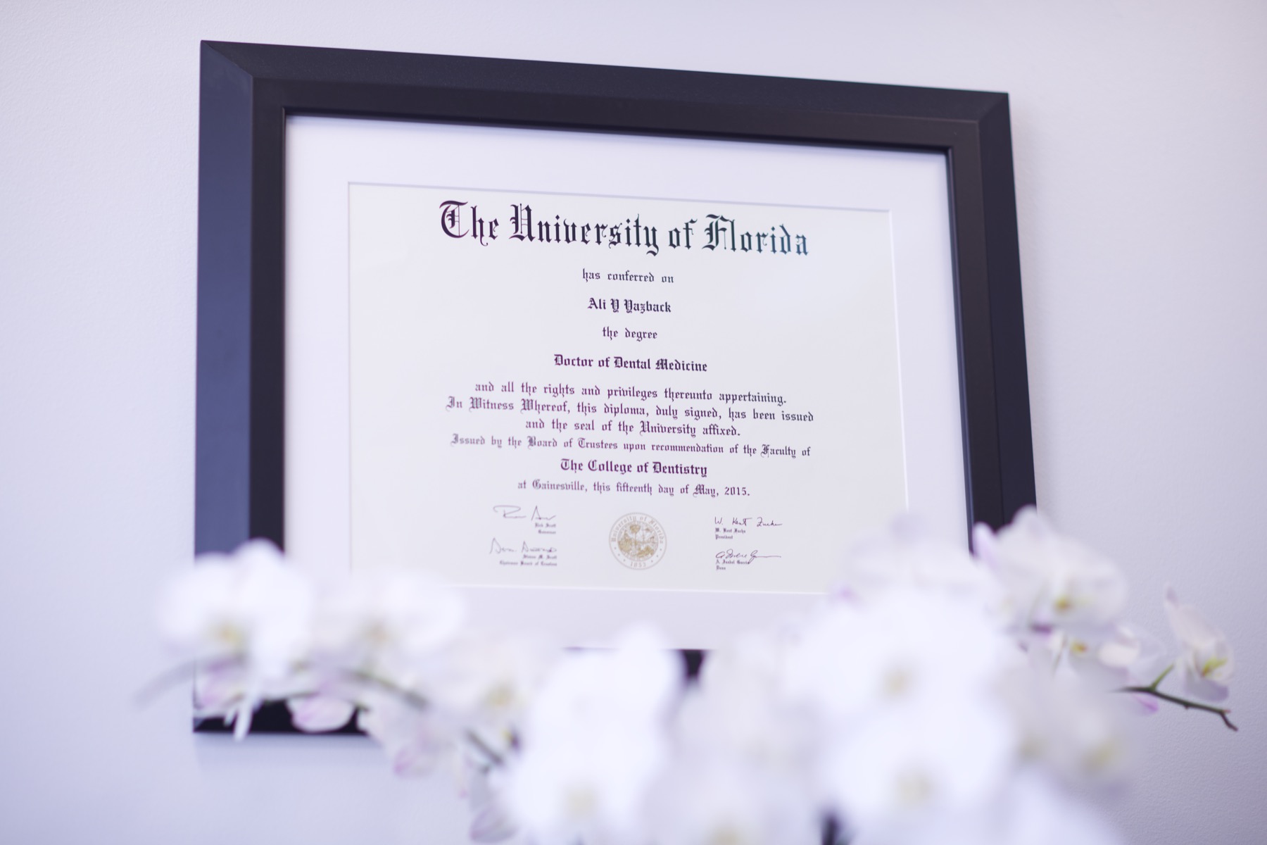 Le diplôme de médecine dentaire de University of Florida du Dr Ali Yazback chez Miami Smile Dental